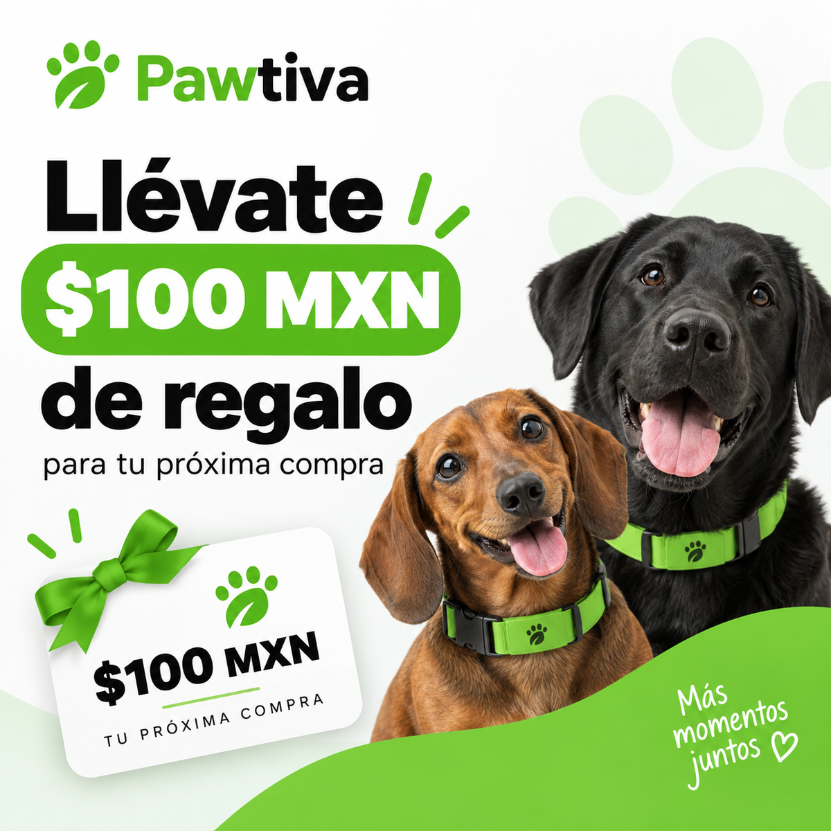 100$ de descuento en tu próxima compra