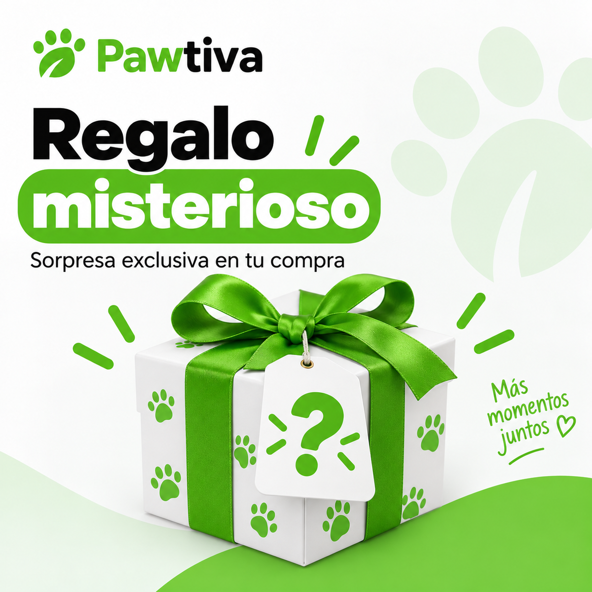 Regalo misterioso